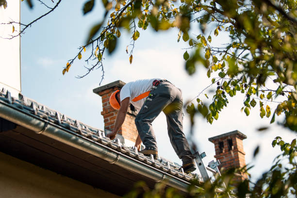 Best New Roof Installation  in Arkansas City, KS
