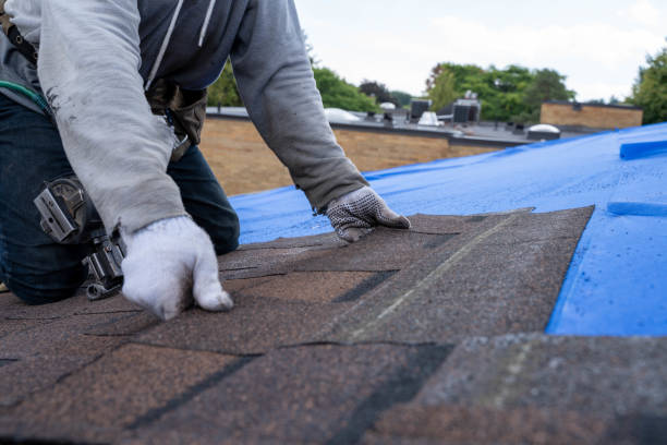 Best Roof Maintenance Services  in Arkansas City, KS